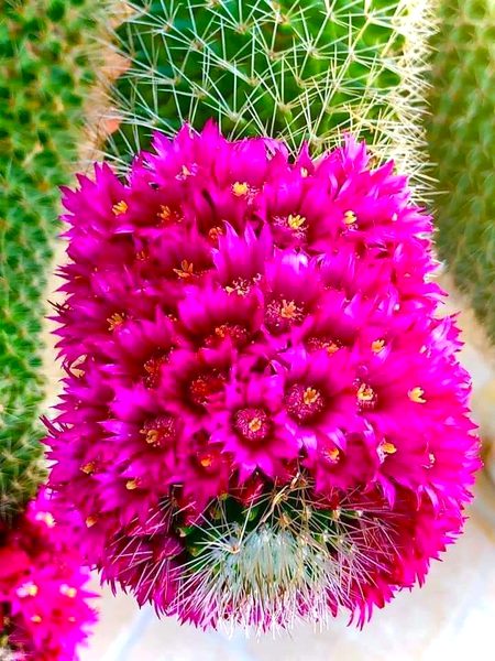 Beautiful Nature image