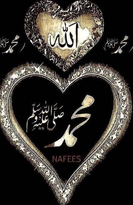 🌹🍀🌷🌹🍀🌷🌹🍀🌷