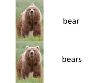 Memes & Satire image