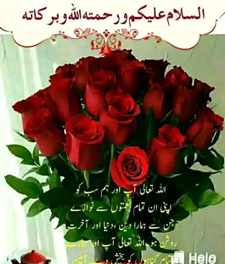 Islamic Quotes image