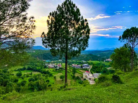 Beautiful Nature image