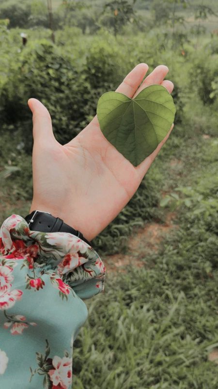 Beautiful Nature image