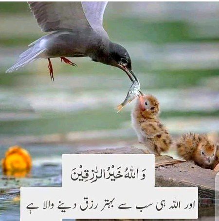 Damadam.Pk