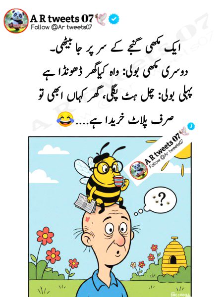 Memes & Satire image