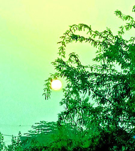 Beautiful Nature image