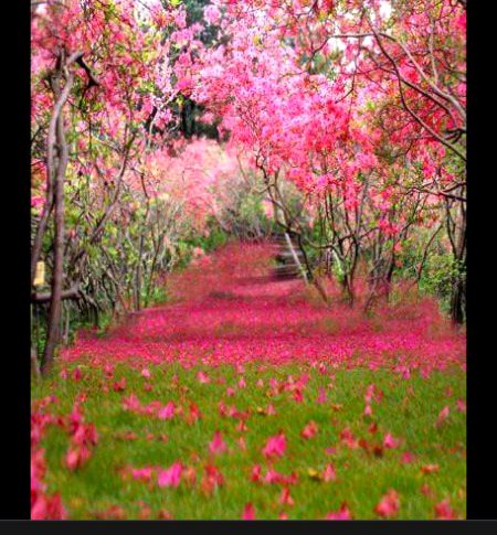 Beautiful Nature image