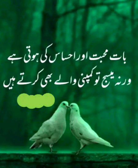 Life Advice image