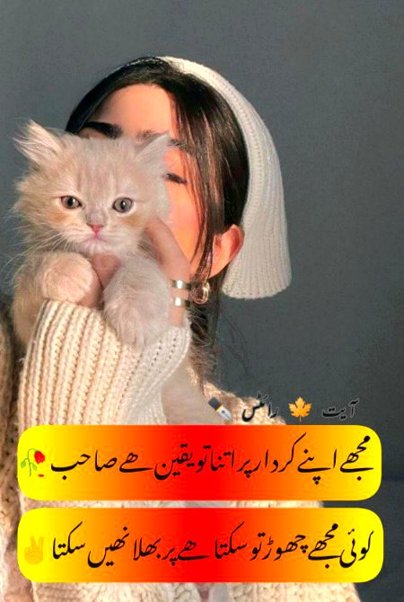 Attitude Poetry image