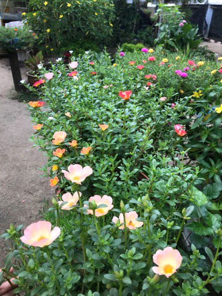 Beautiful Nature image