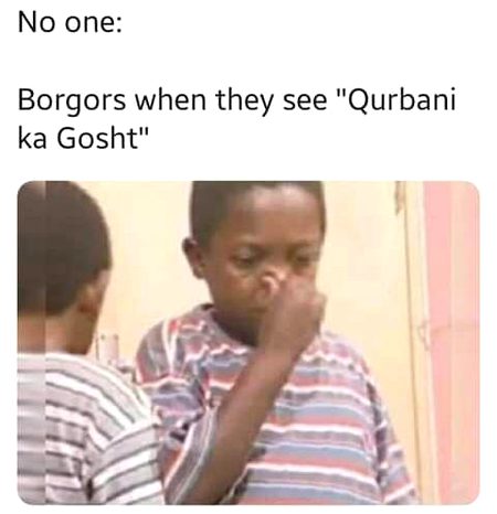 Memes & Satire image