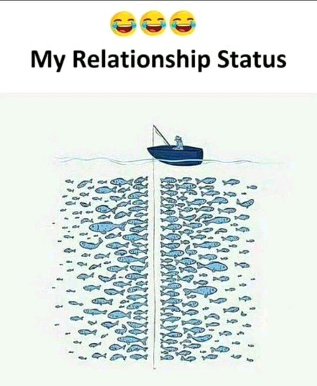 Memes & Satire image