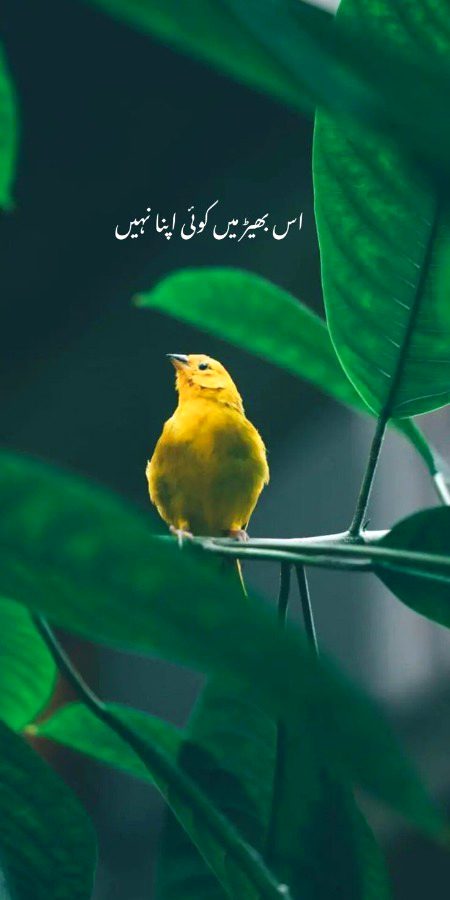 Sad Poetry image