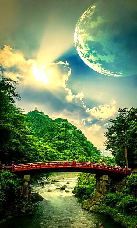 Beautiful Nature image