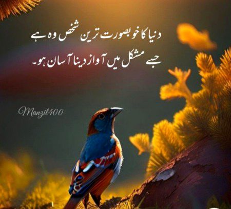 Absolutely right
