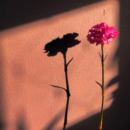 جب لگے تُمہارا کوئی نہیں، تُم میری طرف دیکھنا۔ 🌸🩶