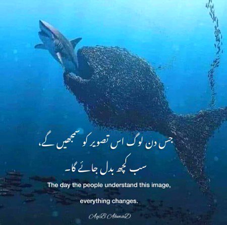 Only legend understand