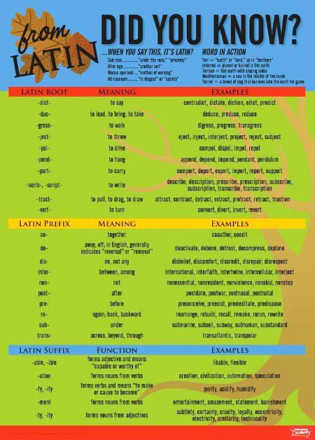 Tips for Students image