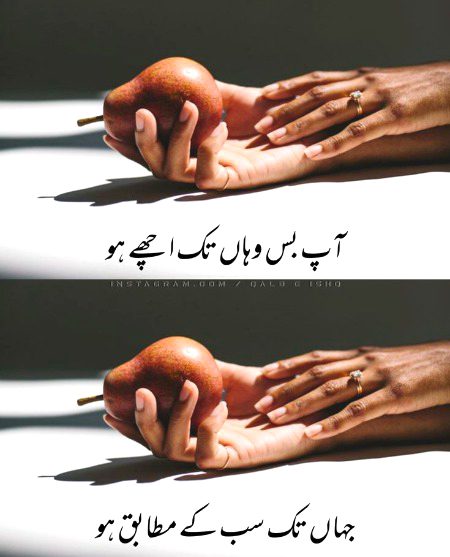 Life Advice image