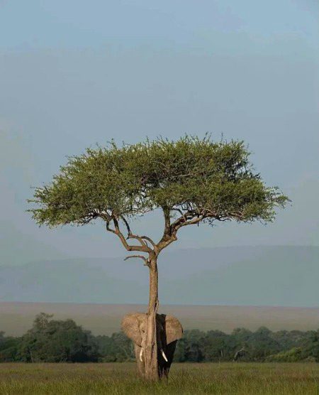 Beautiful Nature image