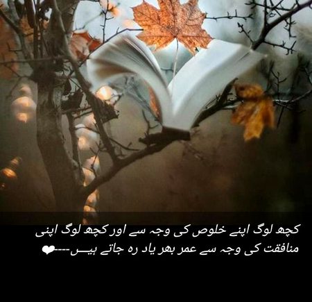 Sad Poetry image