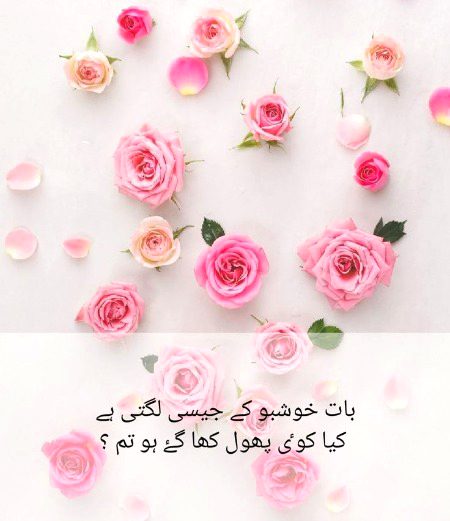 Romantic Poetry image