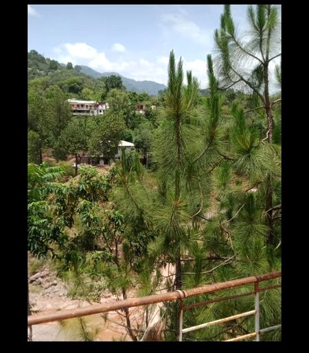 Beautiful Nature image