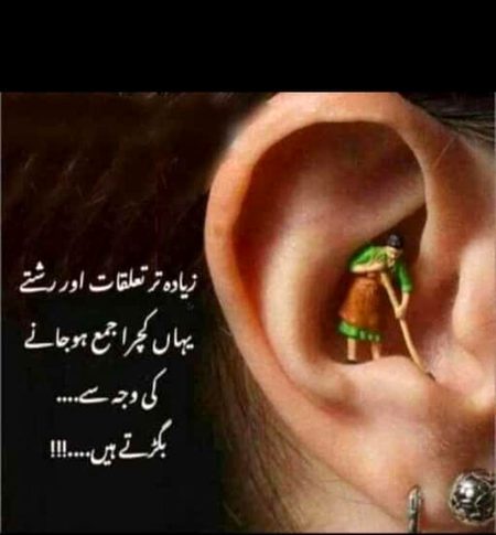 .q3🌷⚘🌹 
🌷💮🏵
How 🌻🌺🌼r 🌷🌼🌻u🌷🌷🌼 all🏵🌷