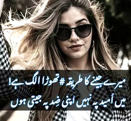 Attitude Quotes image