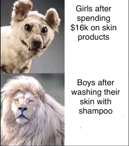 Memes & Satire image