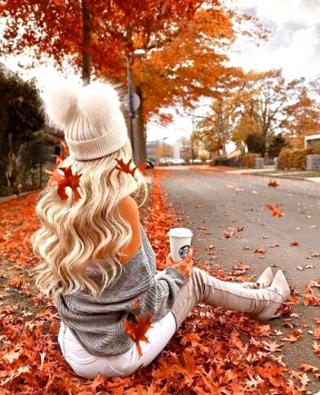 Beautiful Nature image