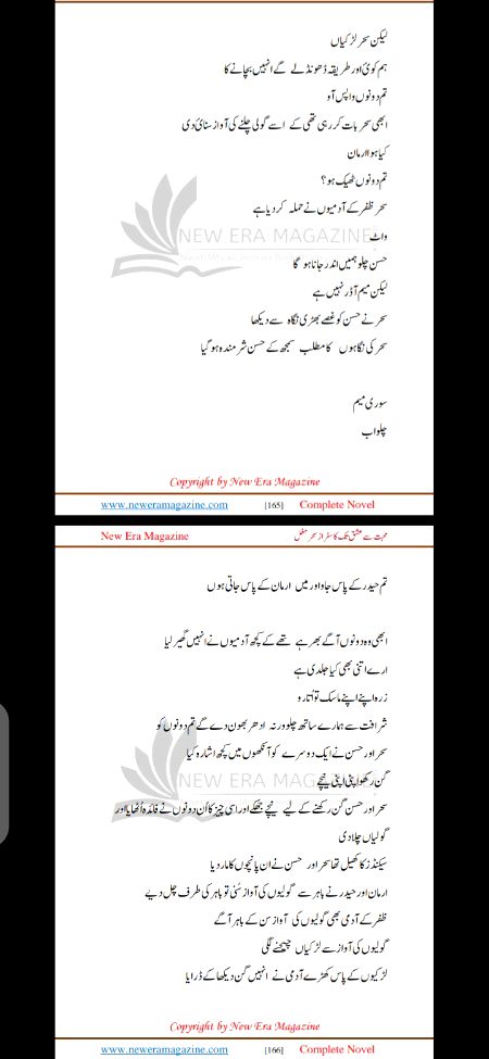 Romantic Novels image