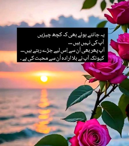 Nice words 💯🌹💯