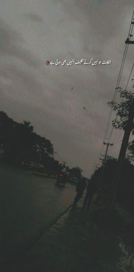 ……✨💯✨……