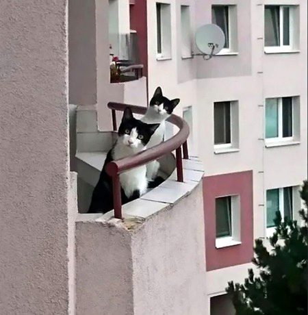 Beautiful Nature image