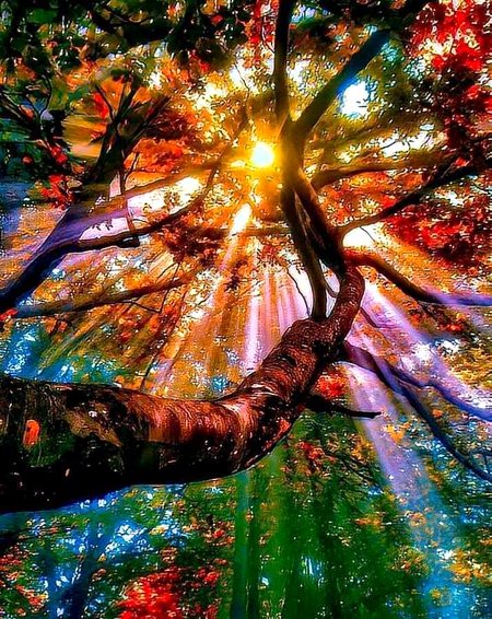 Digital Art image