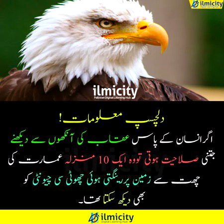 Interesting Posts image