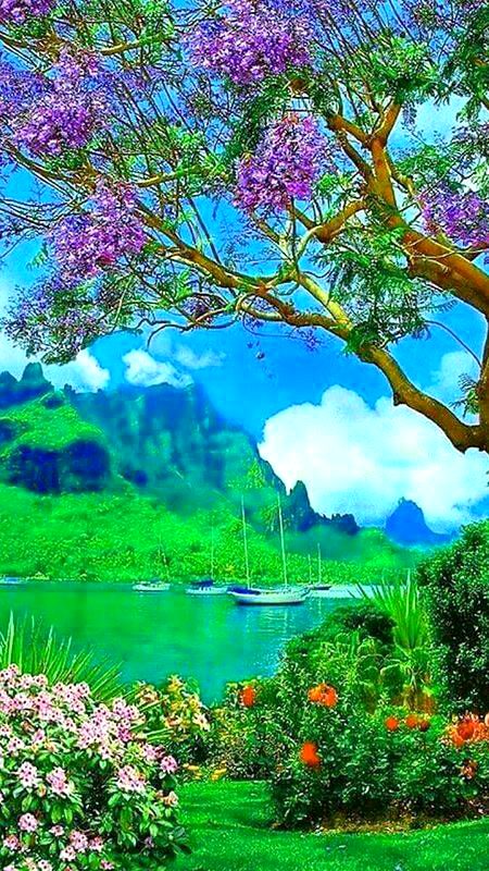 Beautiful Nature image