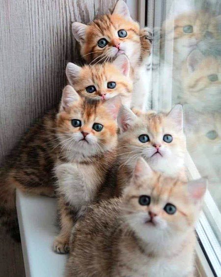 Beautiful Nature image