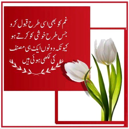 Motivational Quotes image