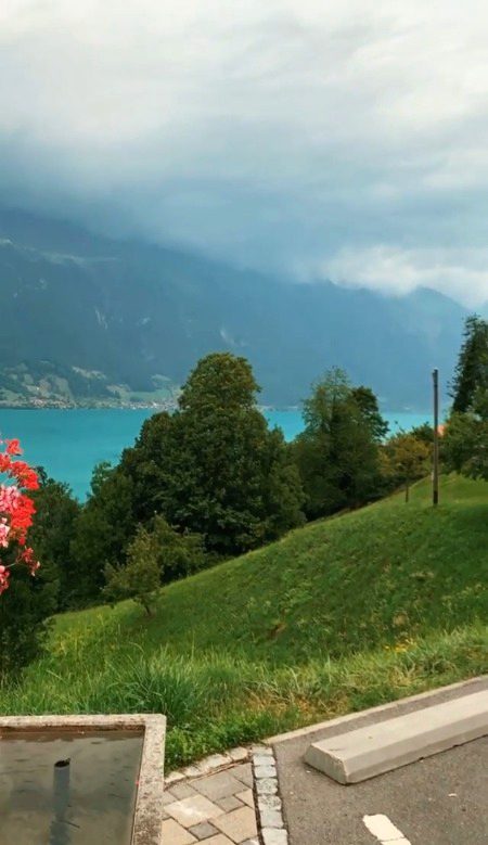 Beautiful Nature image