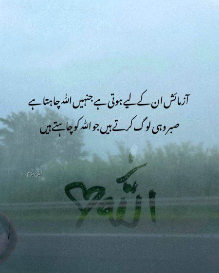 یقین میں رب ہے، غرور میں انسان ہارتا ہے۔
جو اللہ سے جڑ گیا، وہ کبھی نہیں ٹوٹا۔