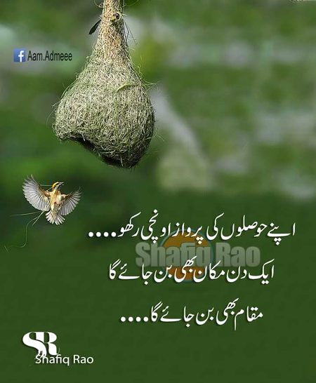Motivational Quotes image