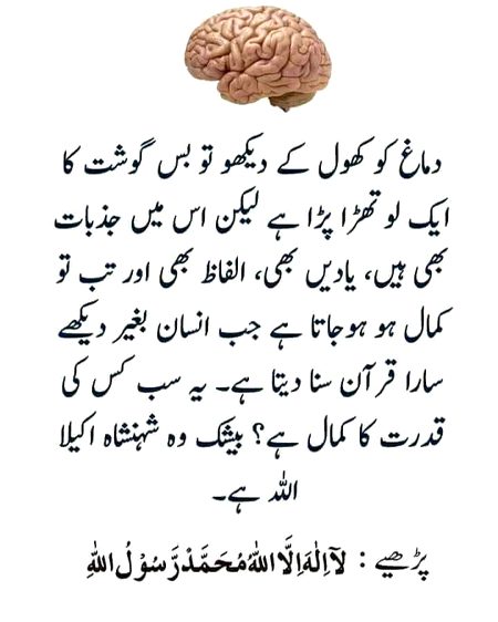 Islamic Quotes image