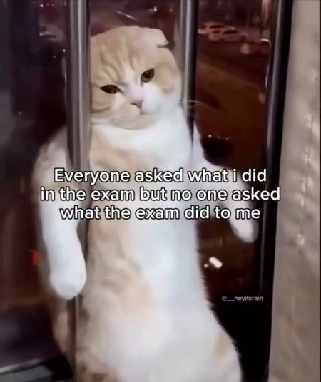 Memes & Satire image