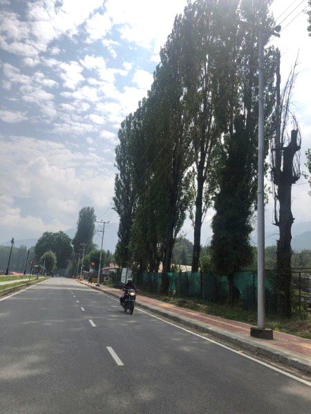 Beautiful Nature image