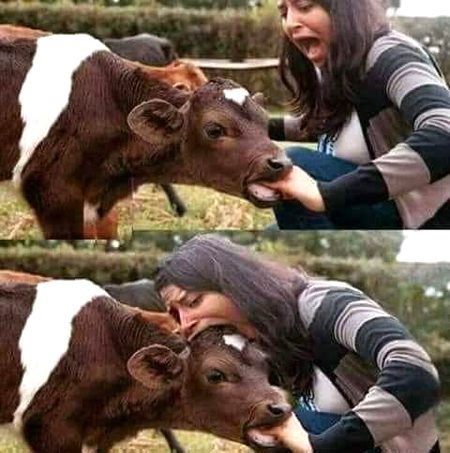 Beautiful Nature image