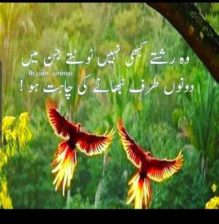 no caption