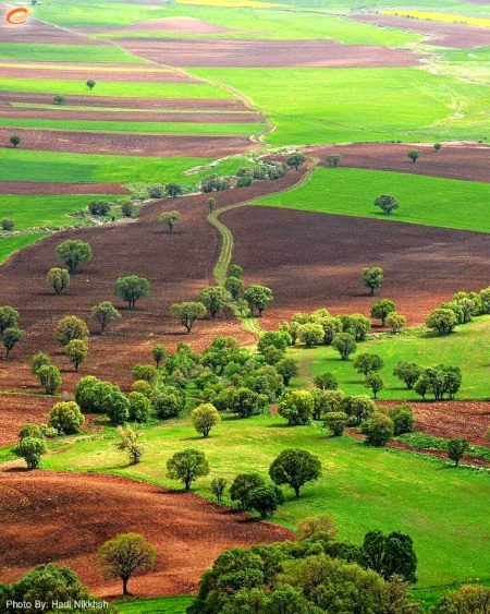 Beautiful Nature image