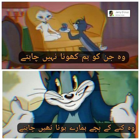 Memes & Satire image