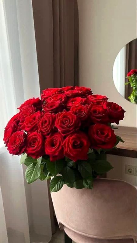 Beautiful Nature image